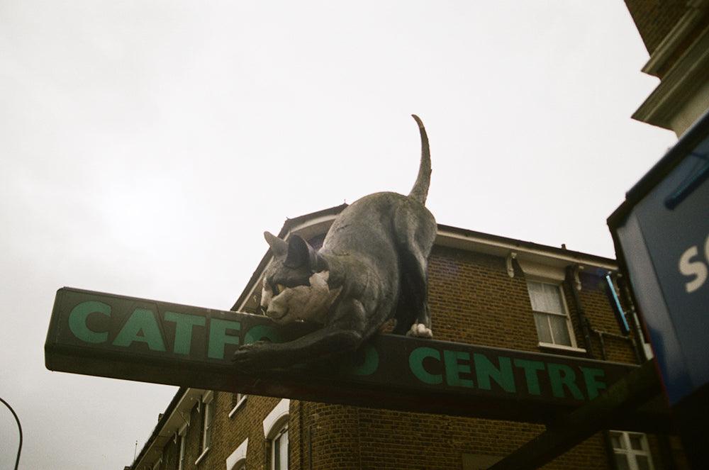Catford Charm - Dreambutdonotsleep