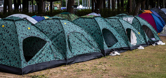 Camping tents are lined up in a row.