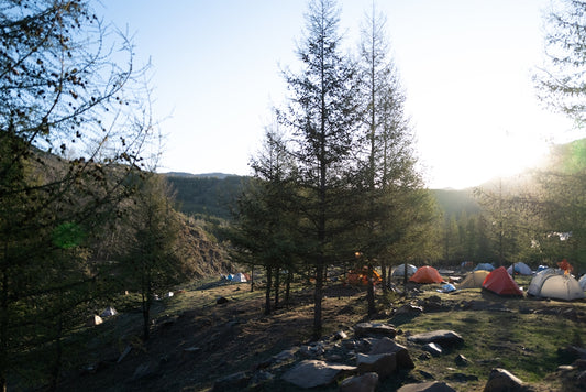 Camping tents dot a landscape with trees.
