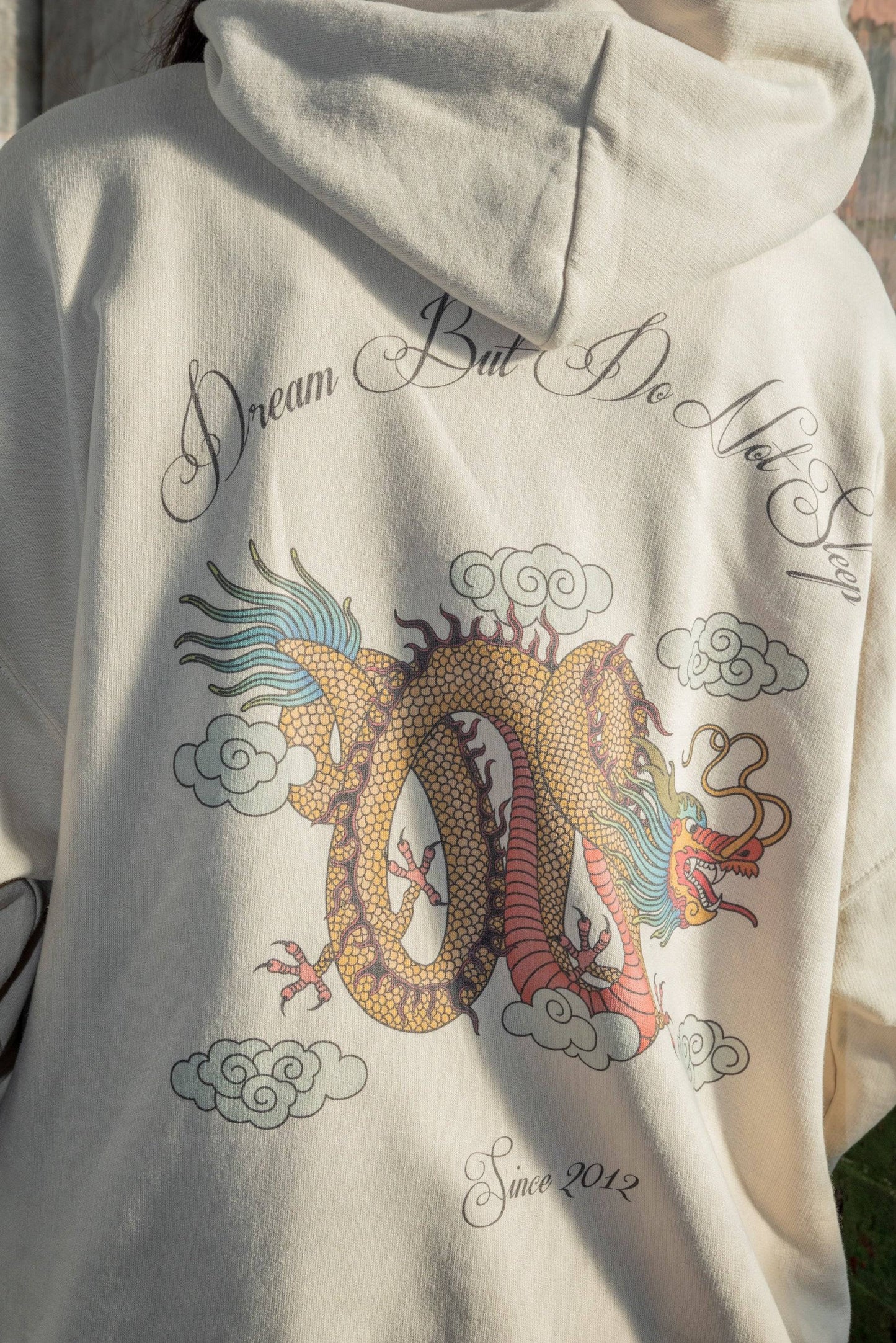 Close-up of Chinese dragon print on back of sand hoodie, showcasing intricate design and 'Dream But Do Not Sleep' slogan in stylized font.