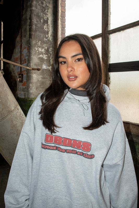 Close-up of ash grey hoodie featuring bold DBNDNS logo and slogan, made from heavyweight cotton for a boxy, oversized look.