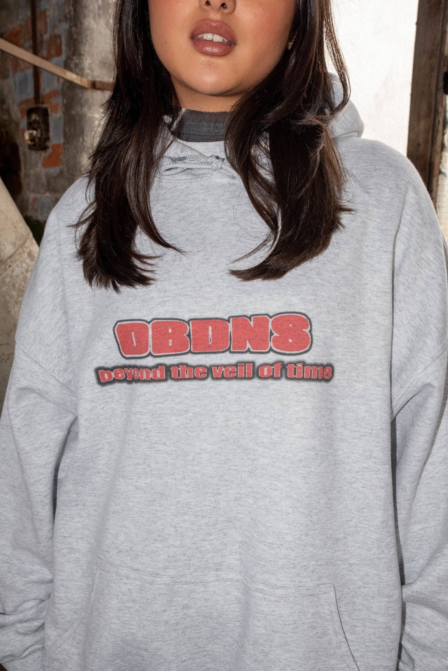 Detailed front view of DBNDNS logo on ash grey hoodie, highlighting bold red text and soft cotton texture for streetwear appeal.
