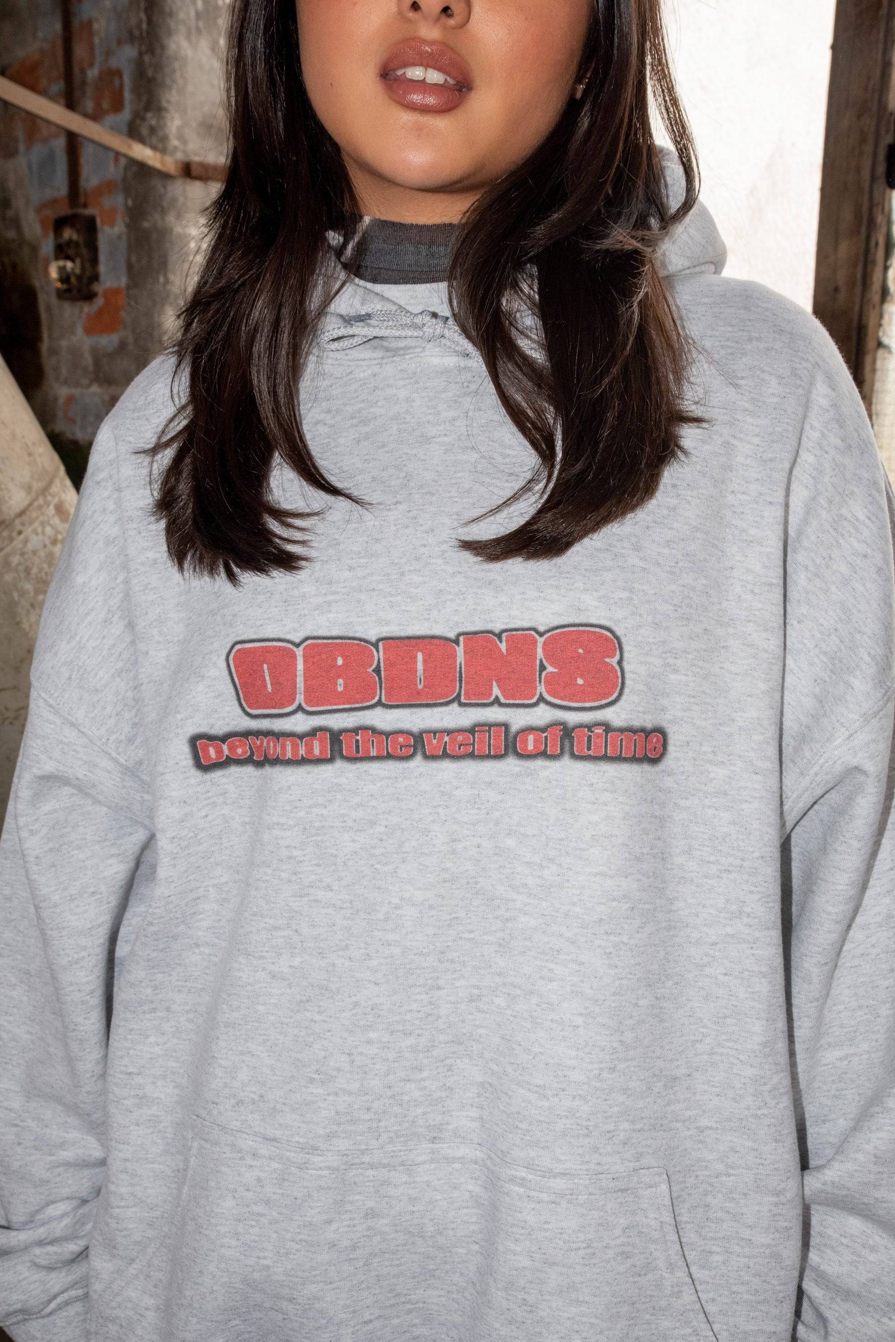 Detailed front view of DBNDNS logo on ash grey hoodie, highlighting bold red text and soft cotton texture for streetwear appeal.