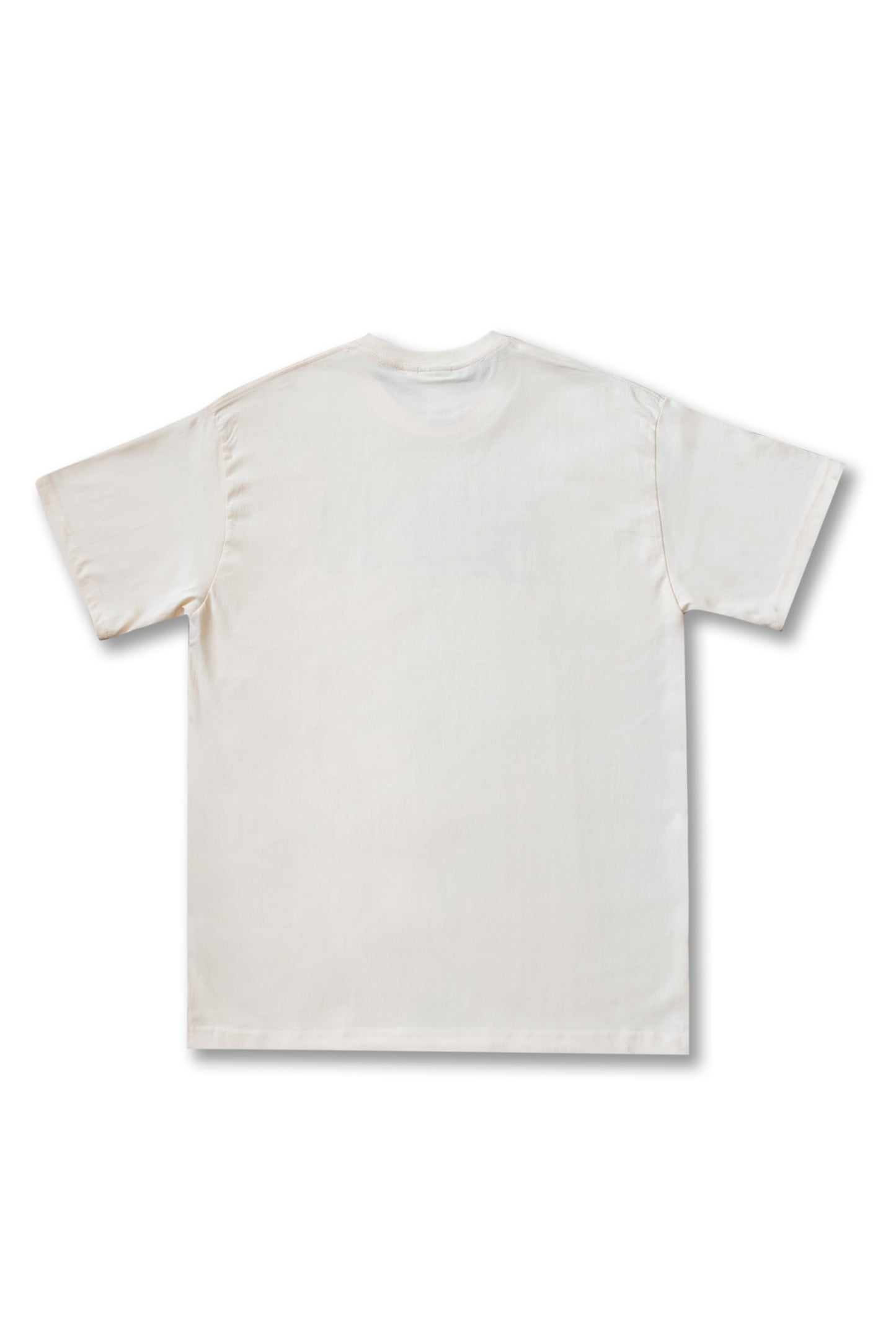 Premium Short Sleeved T-Shirt in Natural with Beach Logo Print