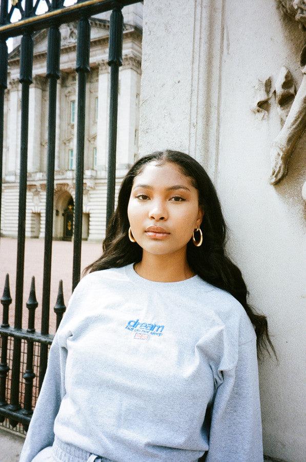 Long Sleeve T-shirt in Heather Grey with Embroidered Logo - Dreambutdonotsleep