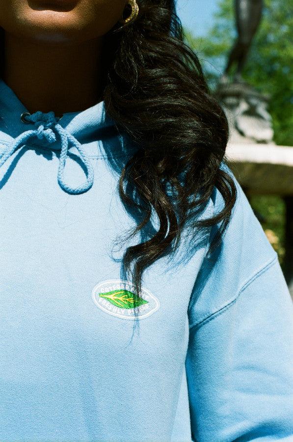 Hoodie in Cornflower Blue with Fruit Sticker Embroidery - Dreambutdonotsleep