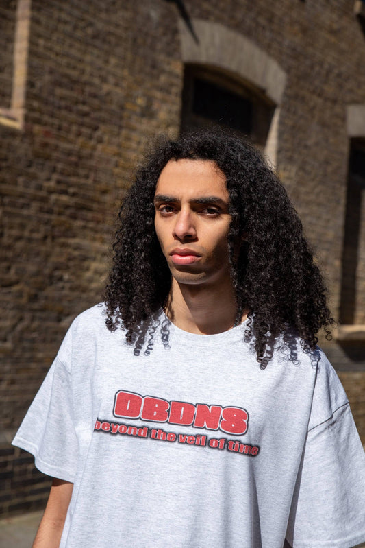 Short Sleeved T-shirt in Heather Grey With Beyond The Veil Of Time Print