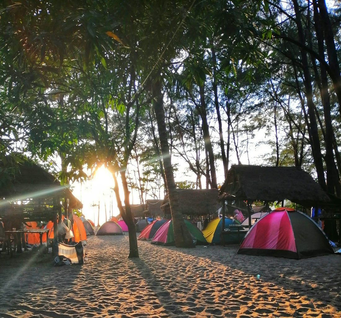 people sitting on camping chairs near tent and trees during daytime