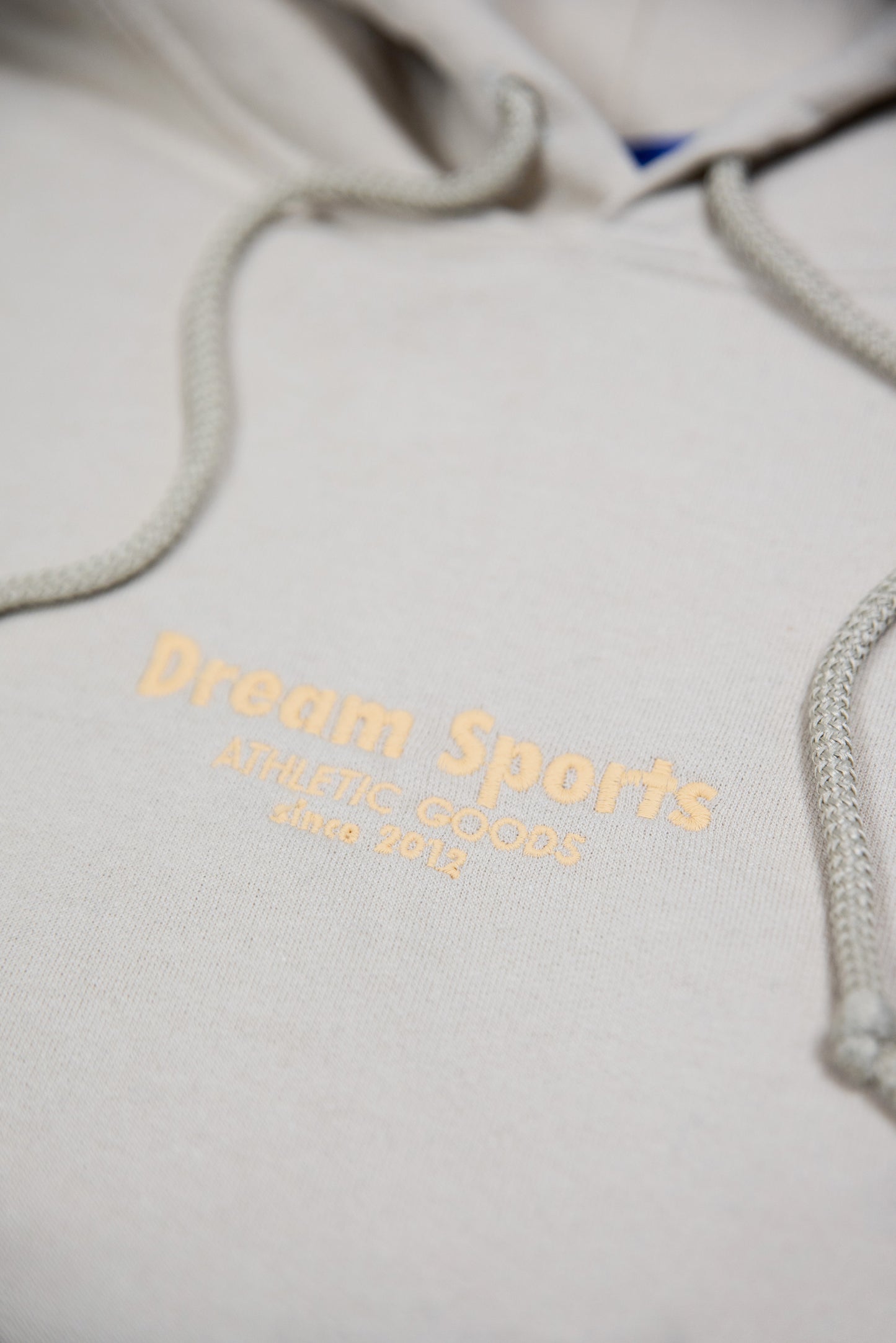 Hoodie in Sand with Dream Sports Tonal Logo Embroidery