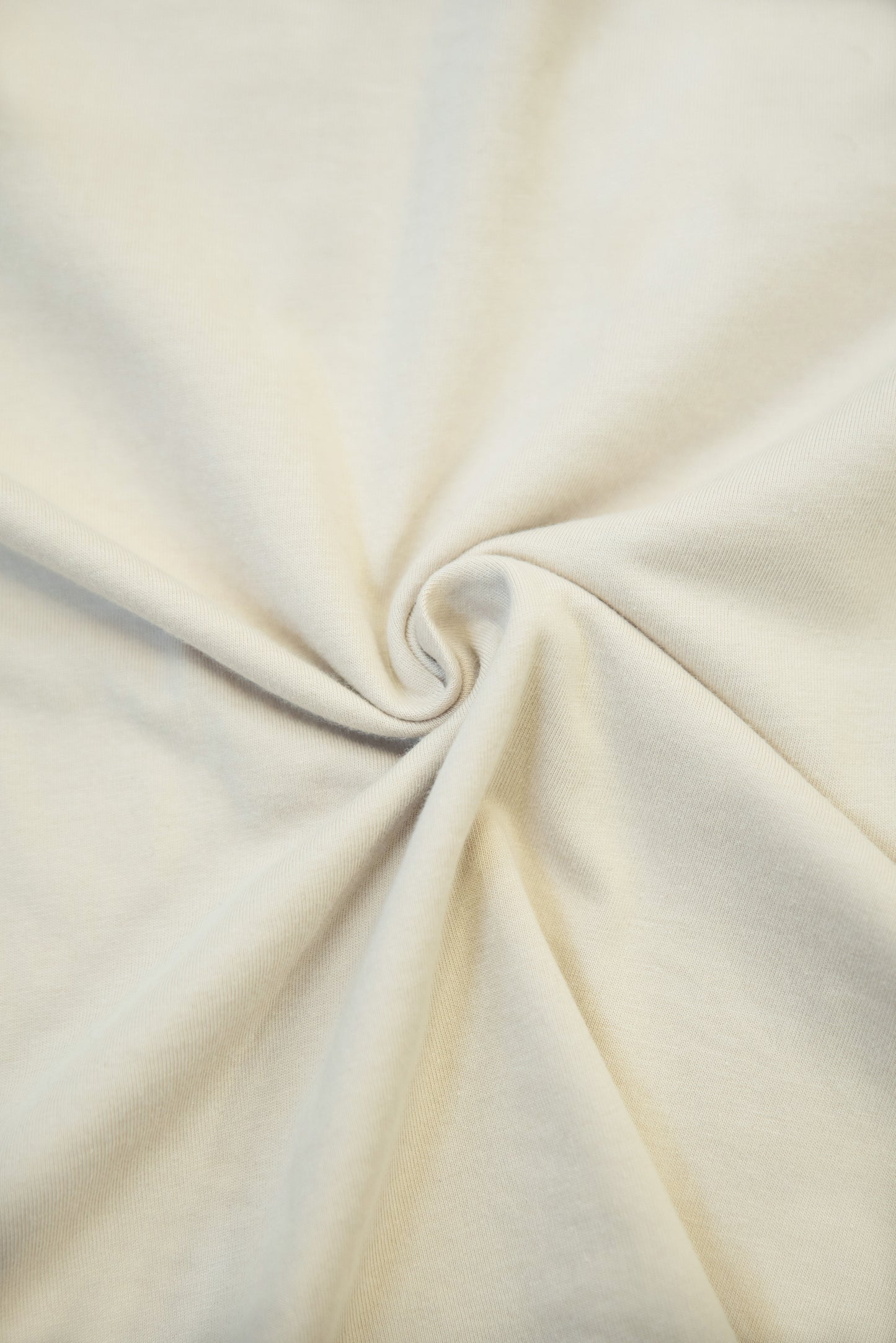 220gsm Heavyweight Sand T-Shirt Featuring Phoenix Print